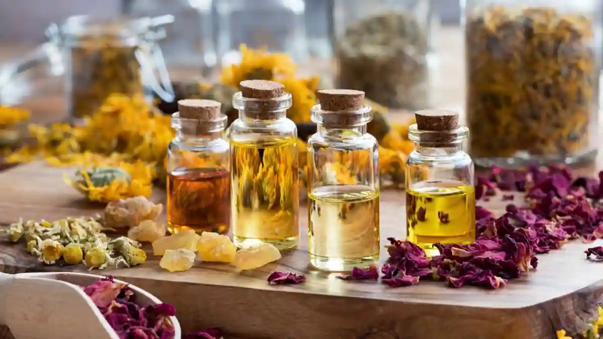 What Are Essential Oils For Focus?